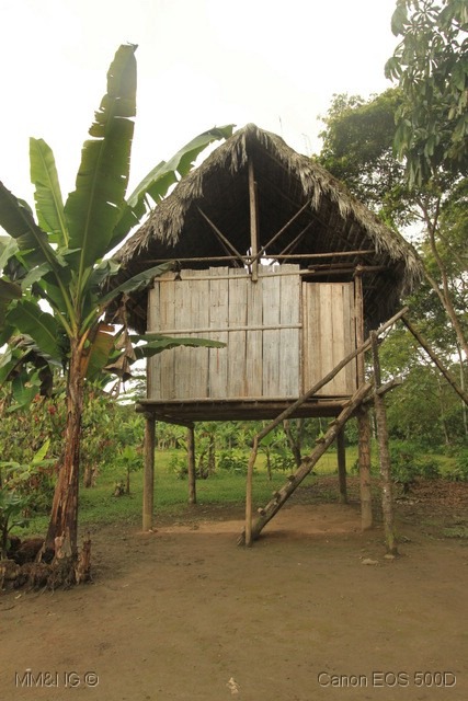 [IMG_2179%255B3%255D.jpg]