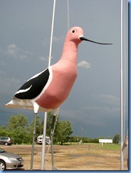 8545 Saskatchewan Trans-Canada Highway 1 Chaplin - Chaplin Nature Centre - American Avocet statue 8545 Saskatchewan Trans-Canada Highway 1 Chaplin - Chaplin Nature Centre - American Avocet statue