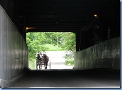 5003 West Montrose Kissing Bridge