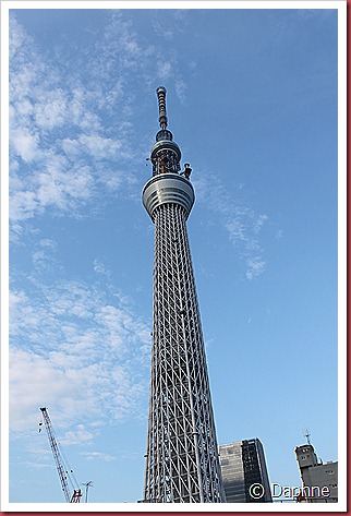 IMG_2389 IMG_2389