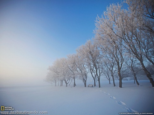 wallpapers national geographic desbaratinando  (55)