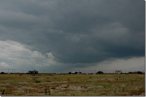 dungeness 054