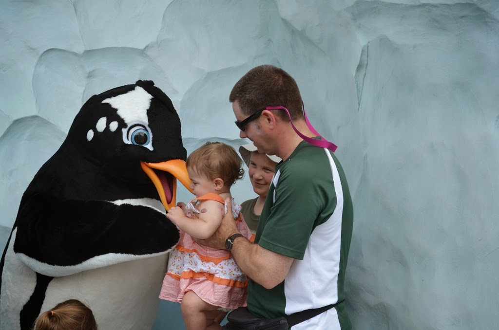 [DSC_9087%255B3%255D.jpg]