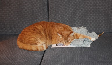 IMG_5395 IMG_5395