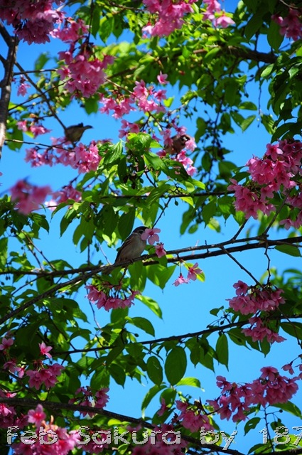 [DSC_5550%255B14%255D.jpg]