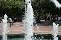IMG_4414.JPG