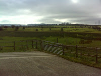 DSC00360.JPG Photo