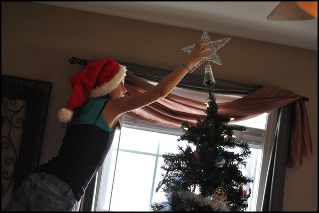 DSC_0175 DSC_0175