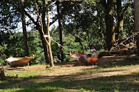 pinoyecofarm cleofe & ramos _0033.JPG
