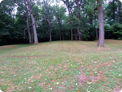 Fiddleback mound