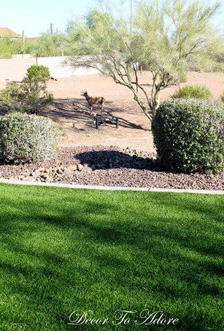 [1-IMG_3588%255B4%255D.jpg]