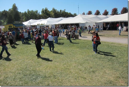 IMG_4345 IMG_4345