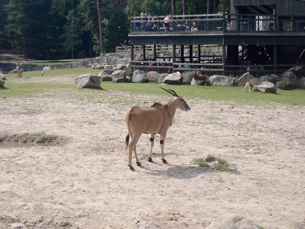 [P7301827%255B4%255D.jpg]