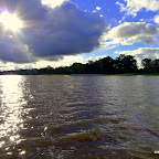 Brown water, green foliage and blue sky