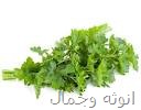 البقدونس لبشره صحيه البقدونس لبشره صحيه