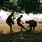 1368---bobo-dioulasso-burkina-faso-by M Staudinger2010-09-15_07-16-15_375y.jpg