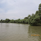 IMG_5194.JPG