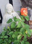 Flowers 1614 (4).JPG