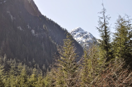 DSC_0067.jpg DSC 0067