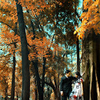 prewedding@vivid-photography-5.jpg
