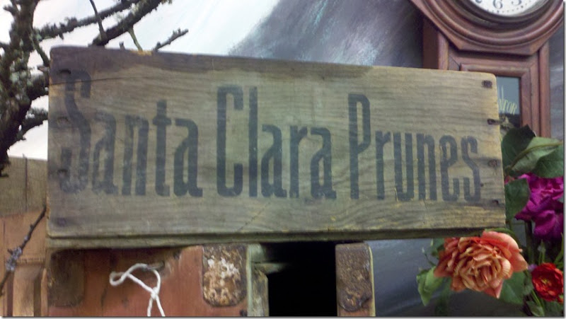 Santa Clara Prune Crate 2
