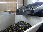 p1235299301(11).jpg