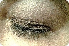2012-09-12 19eyshadowdaltonplum 2012-09-12 19eyshadowdaltonplum