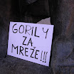 gorilla_03.jpg