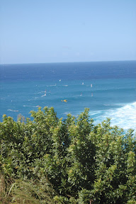DSC_0636.jpg
