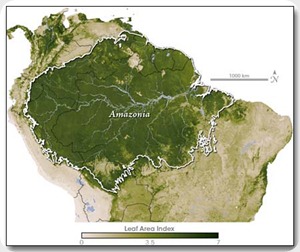 amazonia_mapa amazonia_mapa