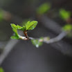 _42E9908.JPG