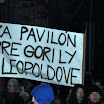 gorilla_27.jpg