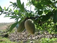 IMG_2930 IMG_2930