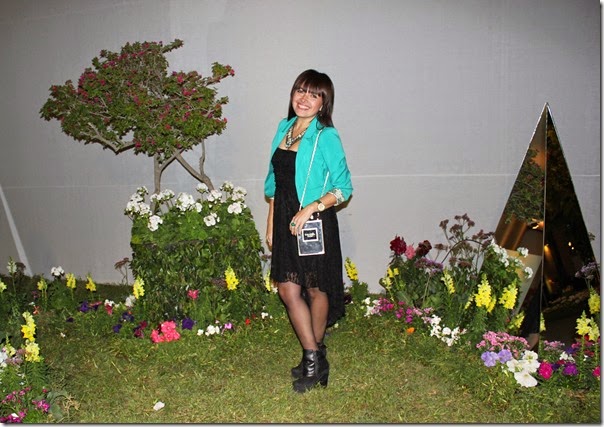 IMG_6830 IMG_6830
