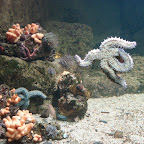 2009 Zoo-klassen voor de eerstejaars