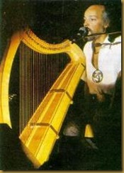 L Arpa Di Davide Breve Storia Della Musica E Dell Arpa In Irlanda