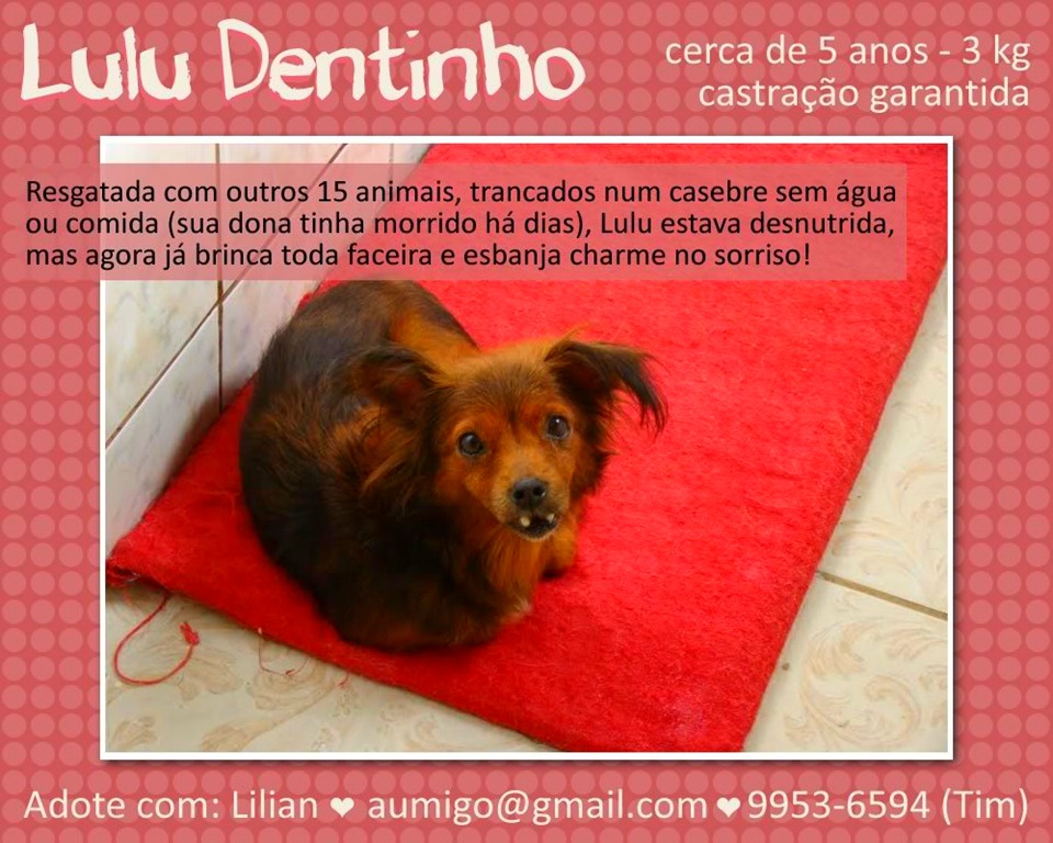 [lulu%255B8%255D.jpg]
