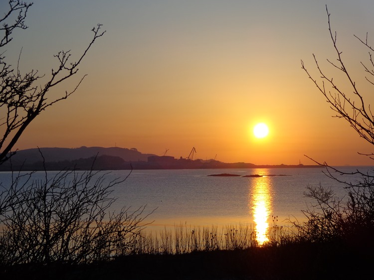 Bowing to the Dawn