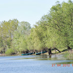DSCN0141.JPG