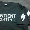 sentient-lighting.jpg