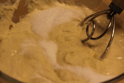 [sourdough_bread0085.jpg]
