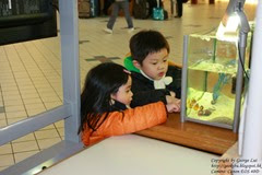 IMG_3098 IMG_3098