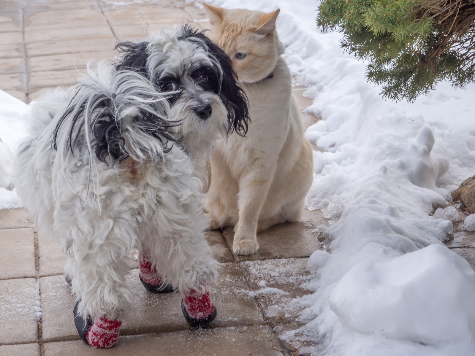 [20141227-0044%255B6%255D.jpg]