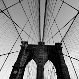 Brooklyn Br