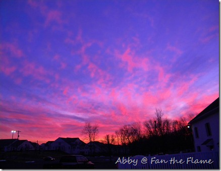 Gossamer Sunset, & Life! 017 Gossamer Sunset, & Life! 017