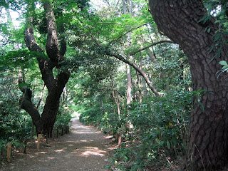 The grounds at the Tokyo Institute for Nature Study