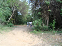 DSC05376.JPG