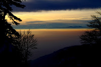 IMG_9294.JPG Photo