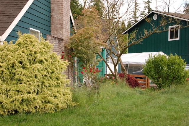 [DSC_6148%255B10%255D.jpg]