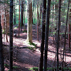 While it's easy to get excited and want to blaze your own path, it's important to follow the trails.  The trails in Acadia are well-marked for everyone's safety.